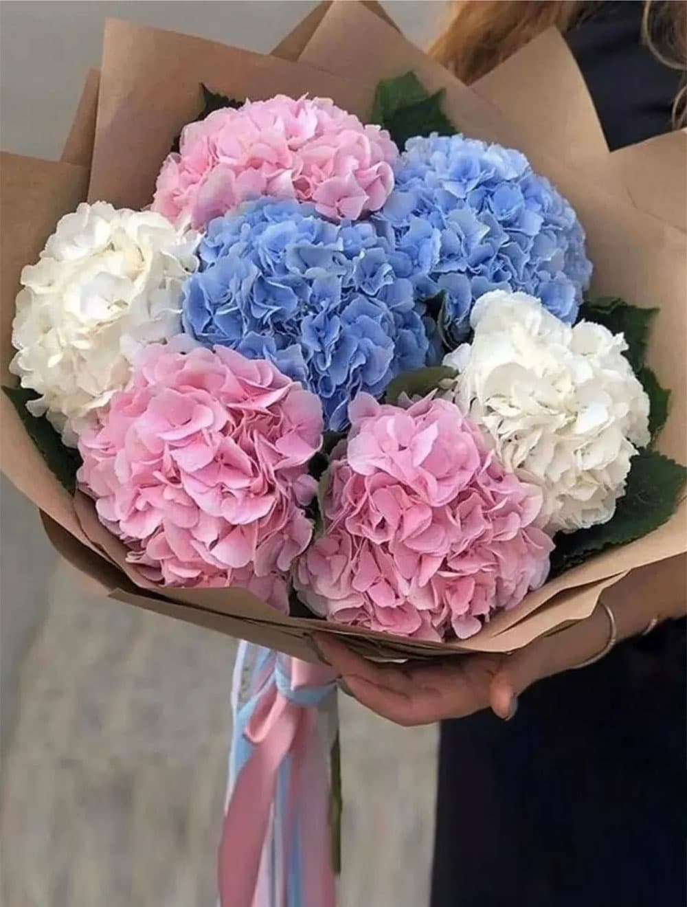 7 гортензий (цвет на выбор) — купить в Сочи