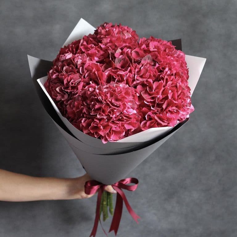 7 красных гортензий — купить в Краснодаре