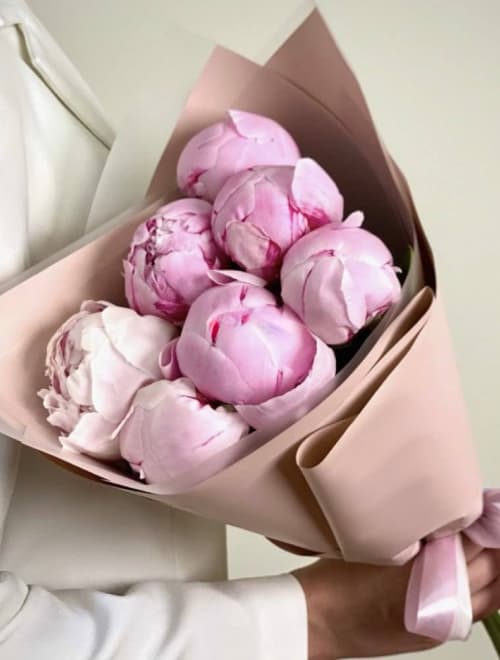 7 розовых пионов (цвет на выбор)