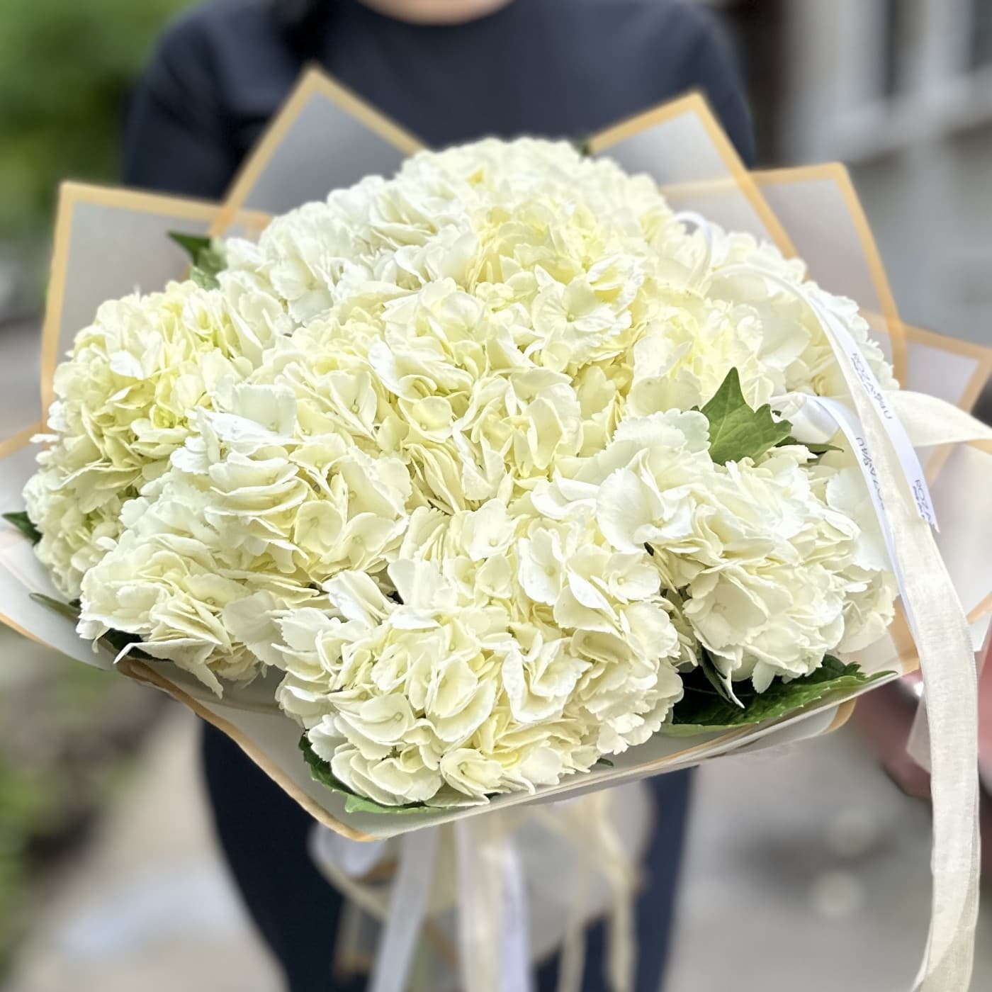 9 белых гортензий — фото 3 — купить в Сочи — фото 3