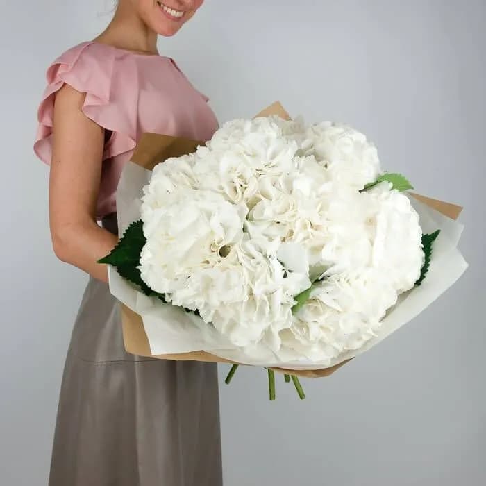 9 белых гортензий — купить в Волгограде