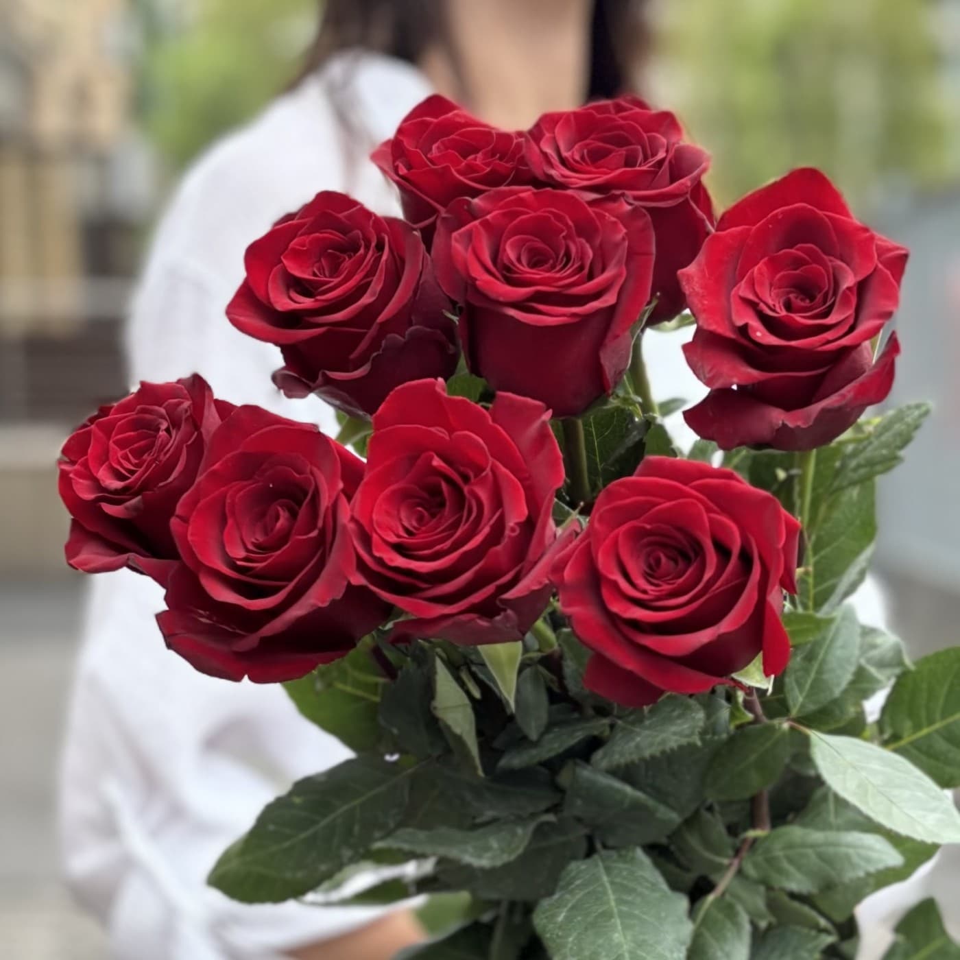 9 голландских роз 80 см (цвет на выбор) — фото 2 — купить в Краснодаре — фото 2