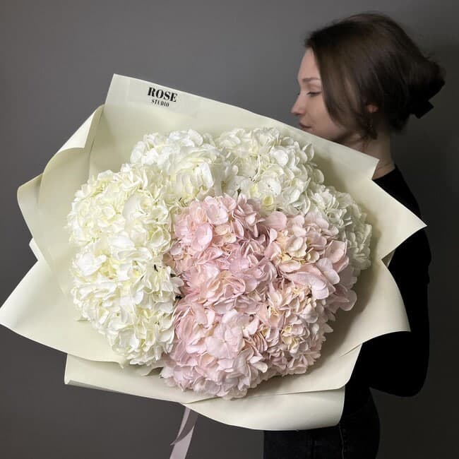 9 гортензий (цвет на выбор) — фото 2 — купить в Краснодаре — фото 2