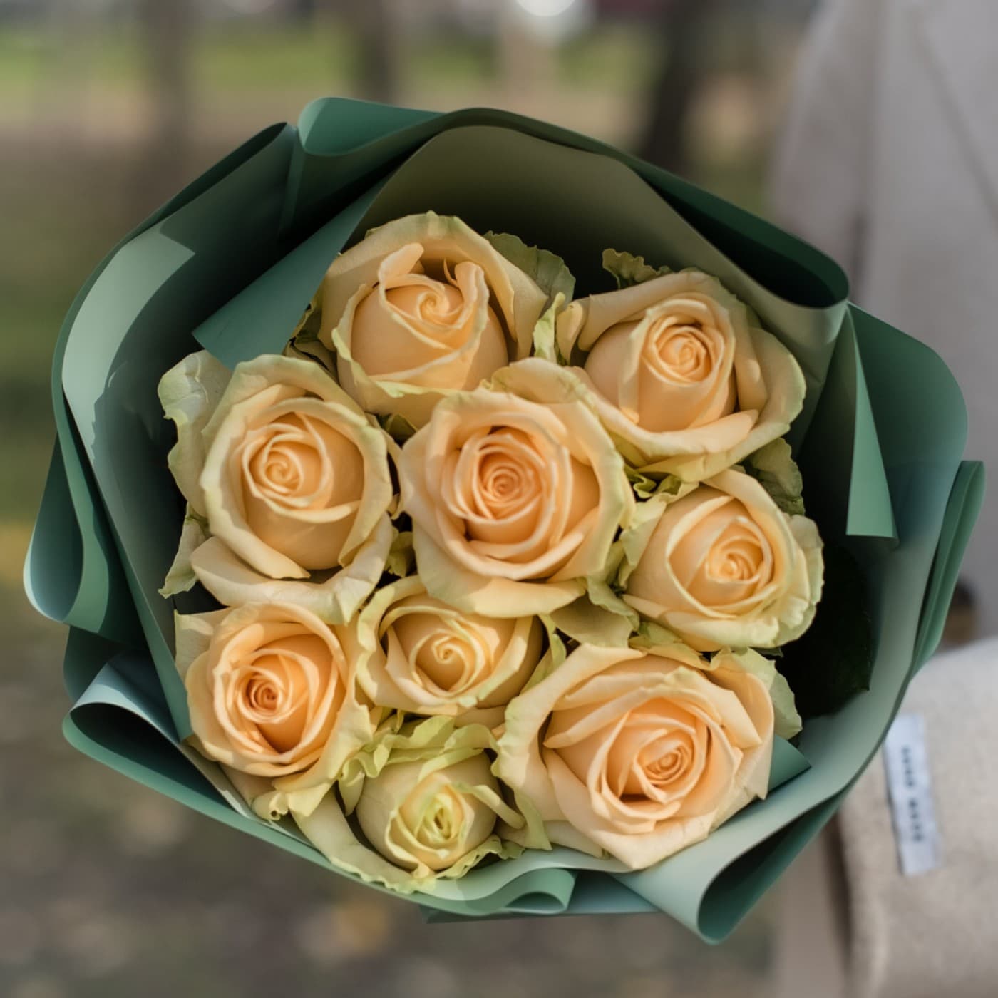 9 персиковых роз — фото 2 — купить в Сочи — фото 2