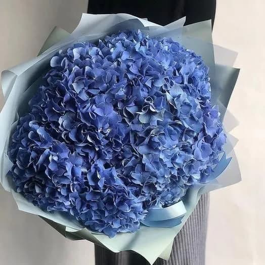 9 синих гортензий — купить в Волгограде