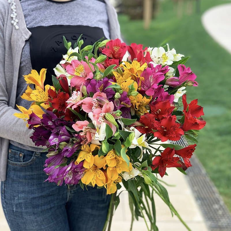 Альстромерия — купить в Ростове-на-Дону