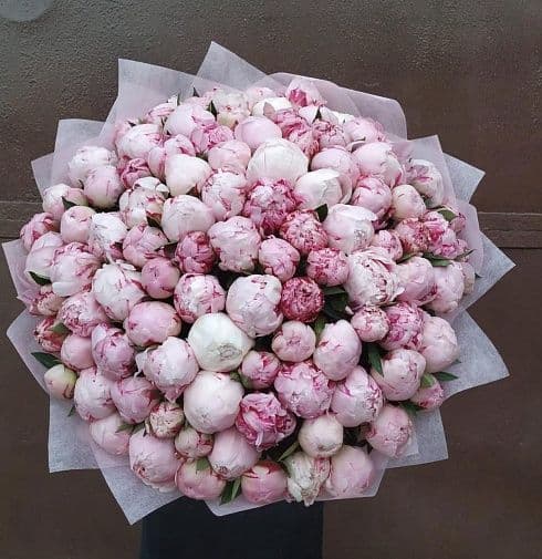 Какой букет подарить на выпускной?