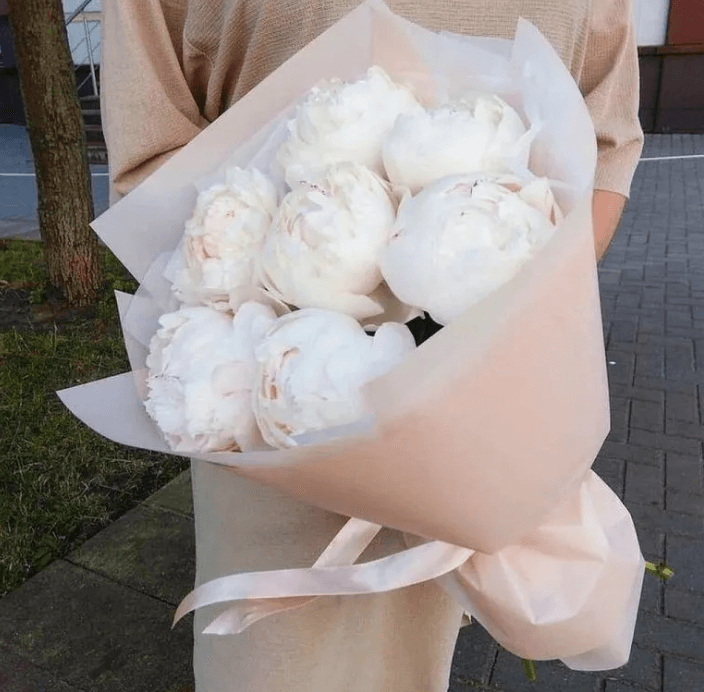 Пионы в Краснодаре: когда появляются и как заказать букет с доставкой