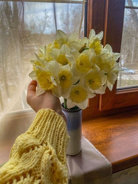 Нарциссы - описание и значение самовлюбленного цветка, кому их можно подарить