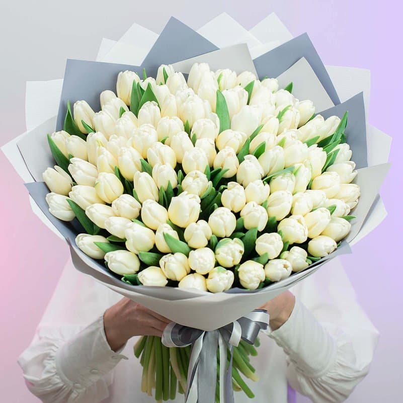 101 белый тюльпан — купить в Ростове-на-Дону