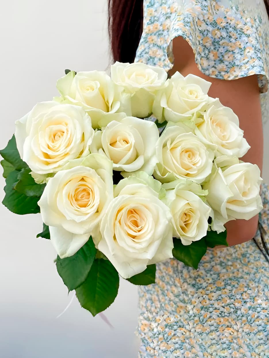 11 белых роз — купить в Ростове-на-Дону