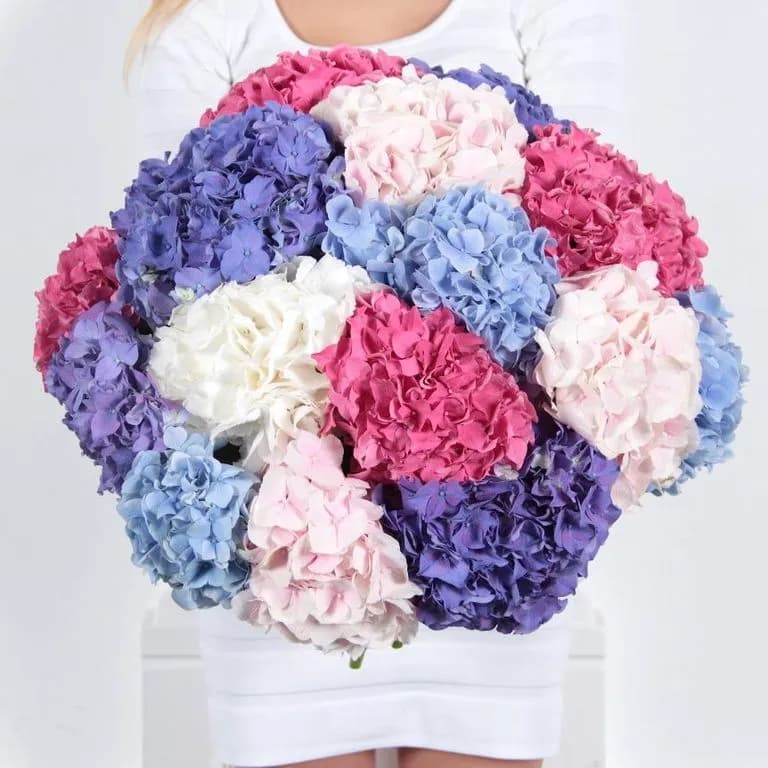 15 бело-розовых гортензий — купить в Краснодаре — фото 6