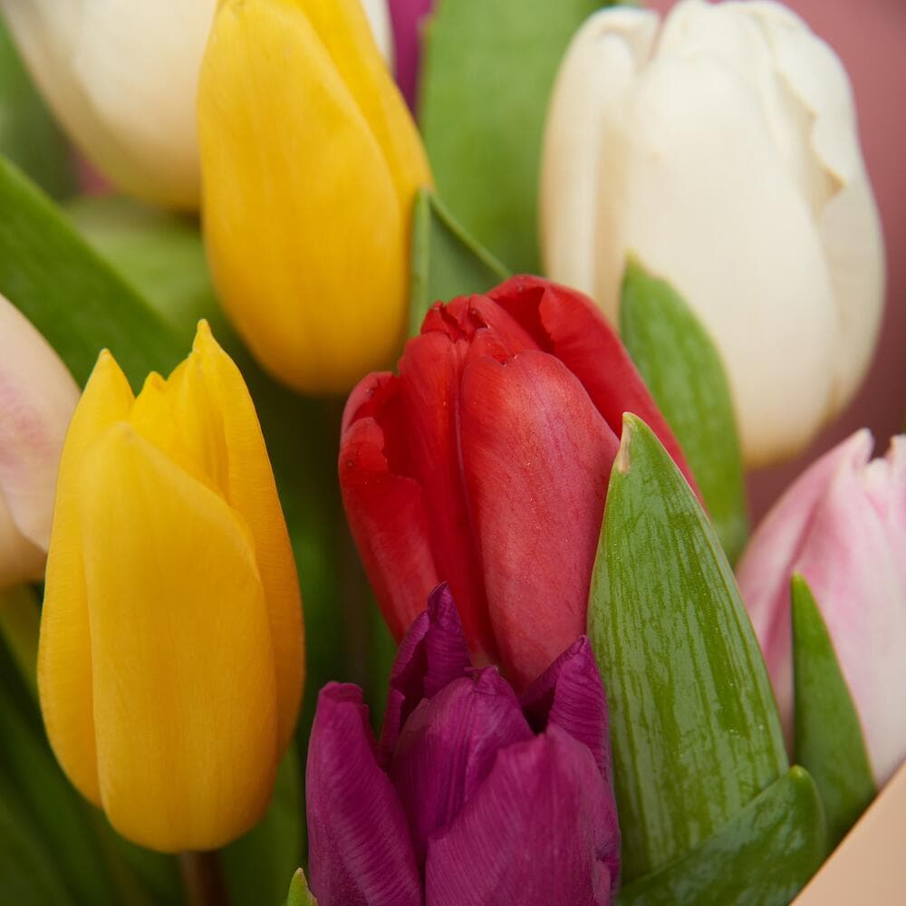 Букет 15 тюльпанов микс — фото 2 — купить в Краснодаре — фото 2