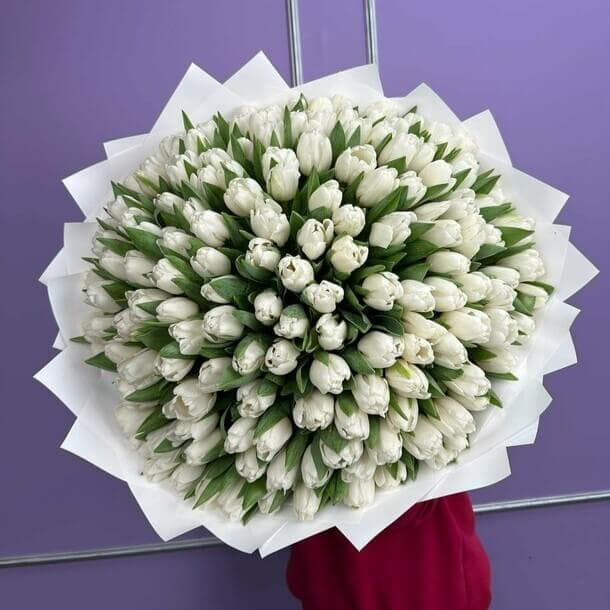 Букет из 151 белого тюльпана — купить в Ростове-на-Дону