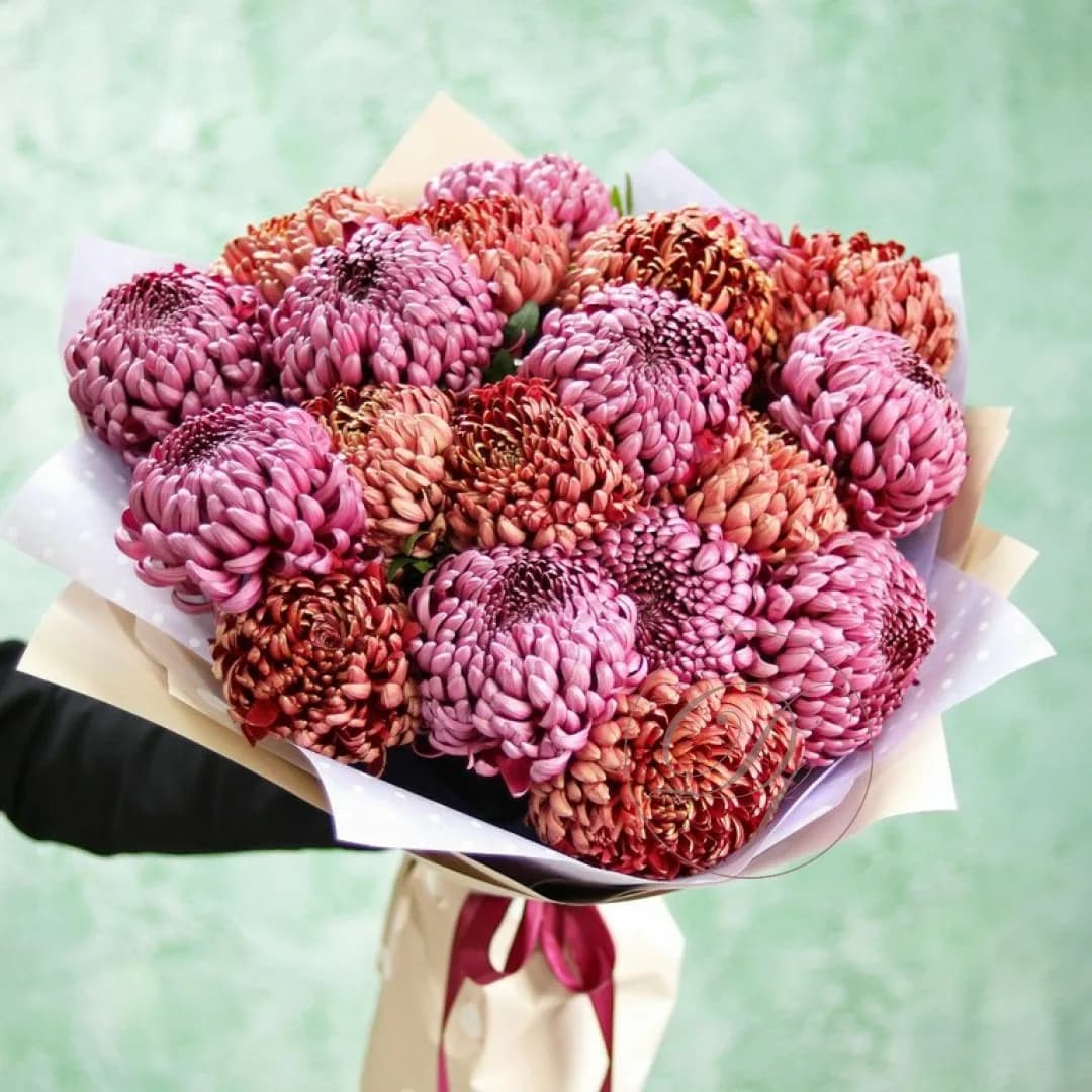 Букет из 17 хризантем бигуди — купить в Ростове-на-Дону