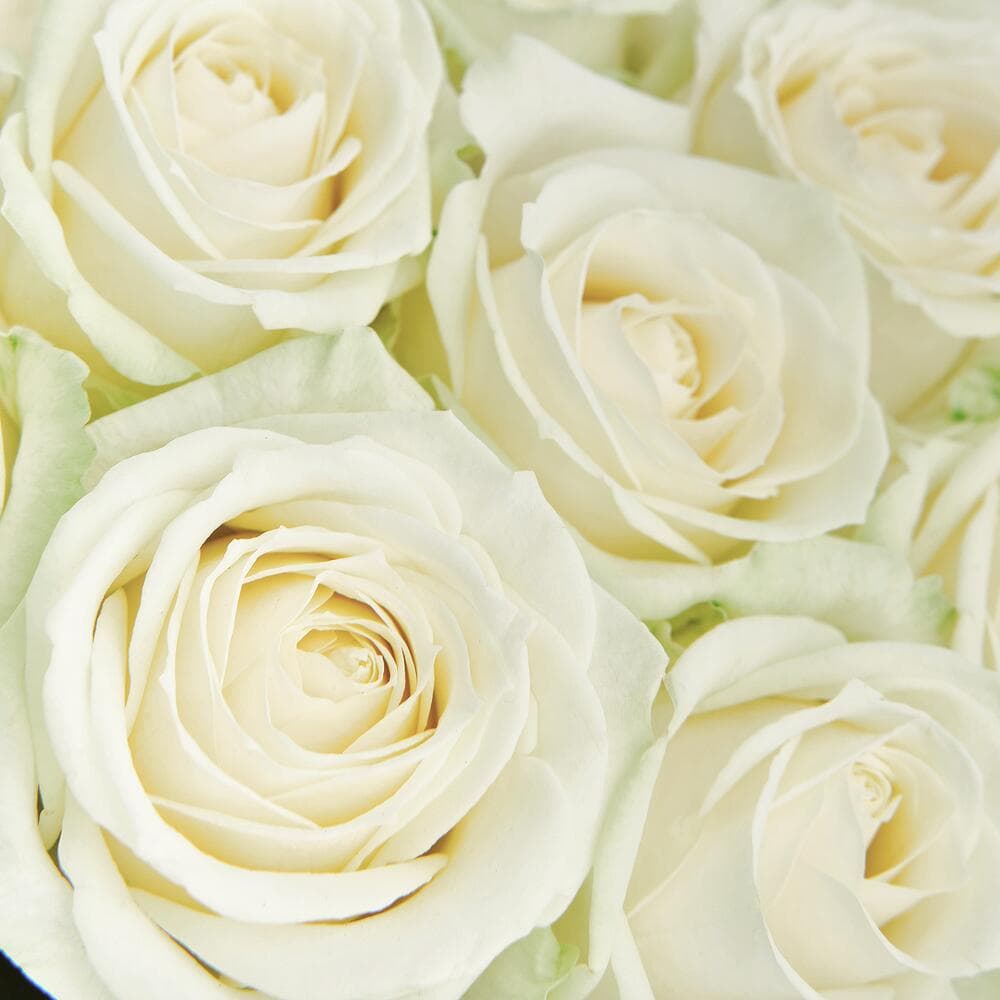19 белых роз — купить в Ростове-на-Дону — фото 2