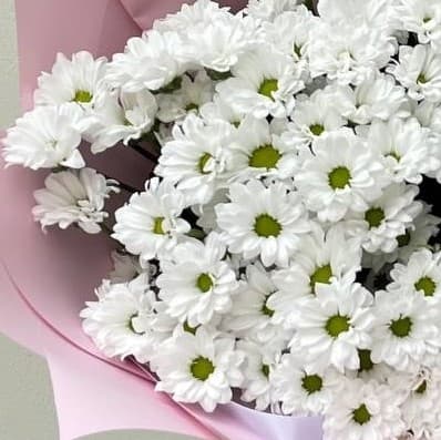 Букет из 19 хризантем — купить в Ростове-на-Дону — фото 3