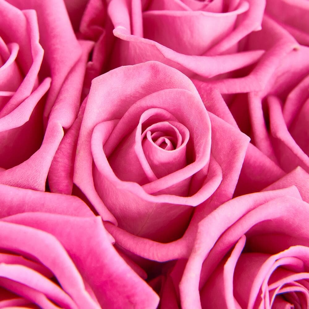 19 розовых роз — купить в Ростове-на-Дону — фото 2