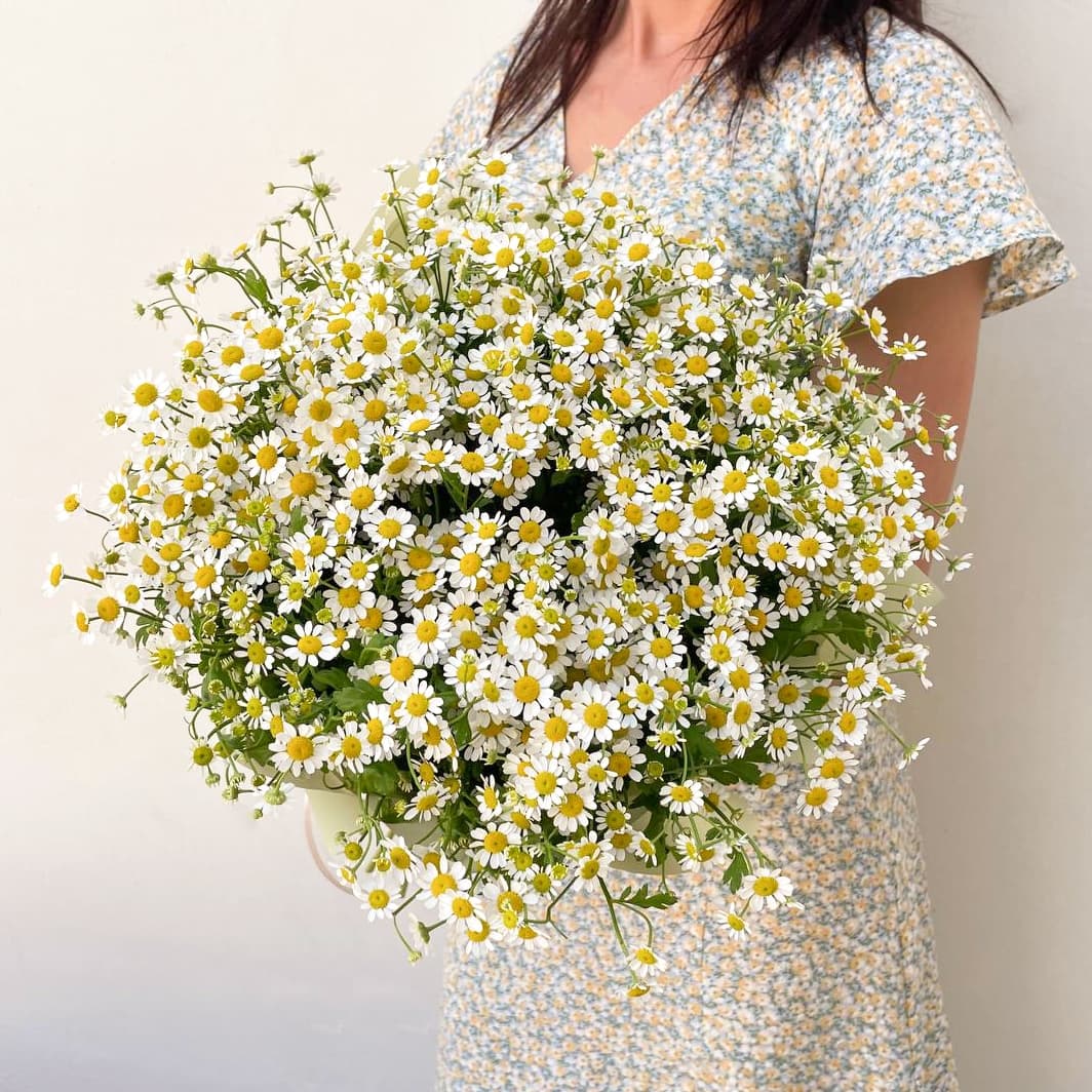 25 кустовых ромашек — купить в Ростове-на-Дону — фото 5