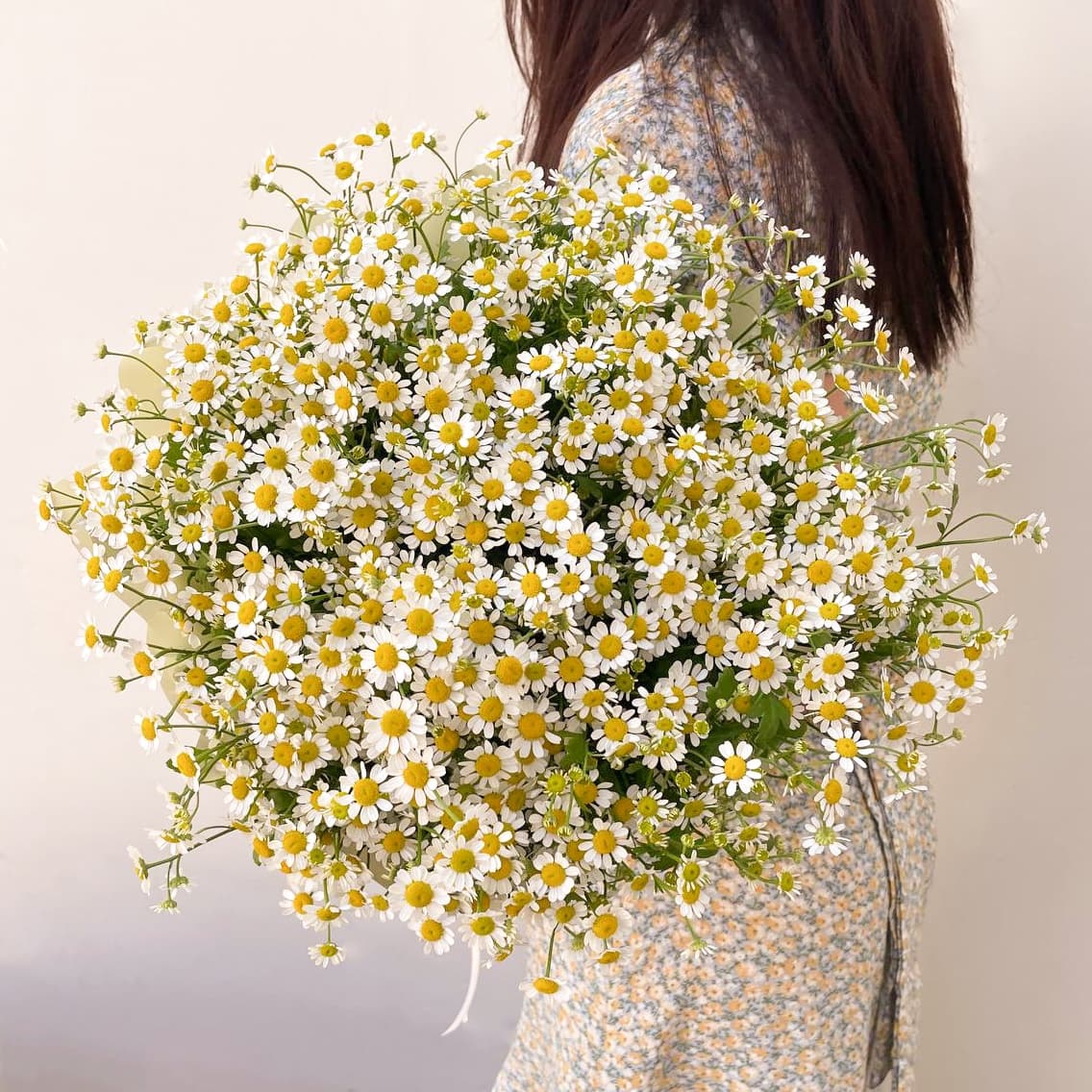 25 кустовых ромашек — купить в Ростове-на-Дону — фото 3