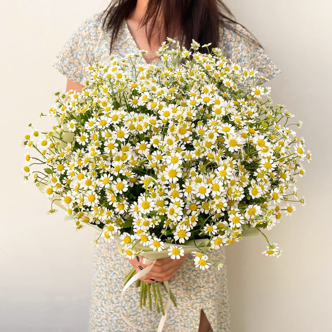 25 кустовых ромашек — купить в Ростове-на-Дону — фото 4