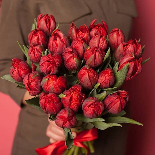 25 пионовидных тюльпанов — купить в Ростове-на-Дону