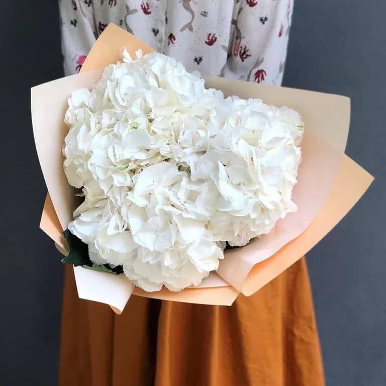 3 белые гортензии — купить в Ростове-на-Дону