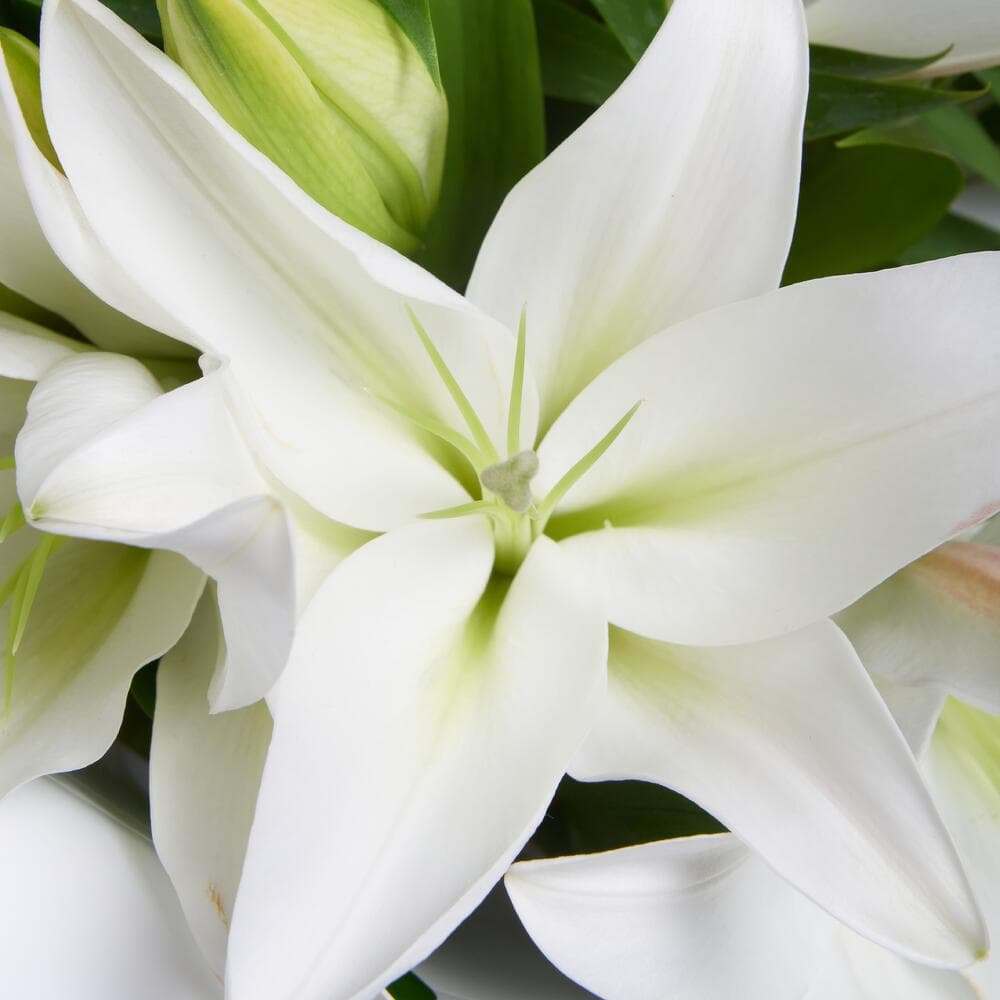 5 белых лилий — купить в Ростове-на-Дону — фото 5