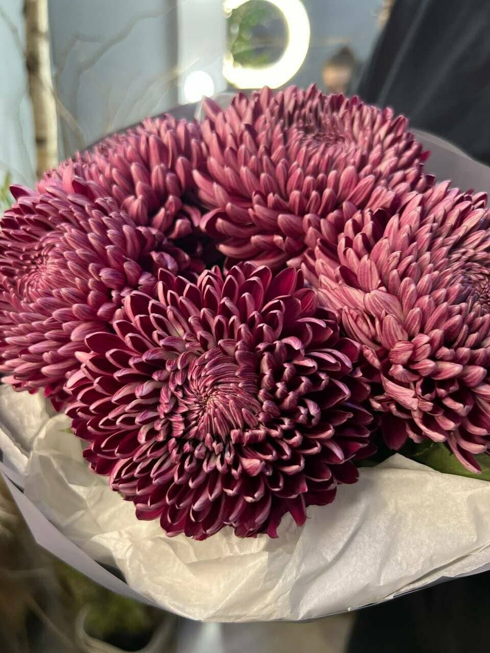 Букет из 5 хризантем бигуди — купить в Ростове-на-Дону — фото 3