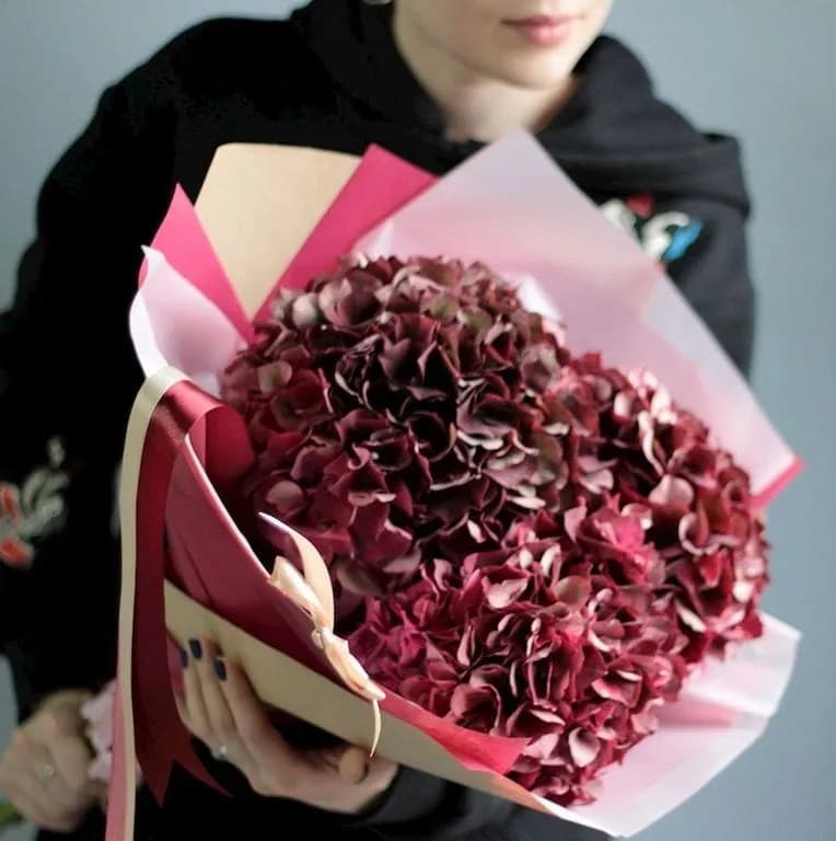 5 красных гортензий — купить в Ростове-на-Дону