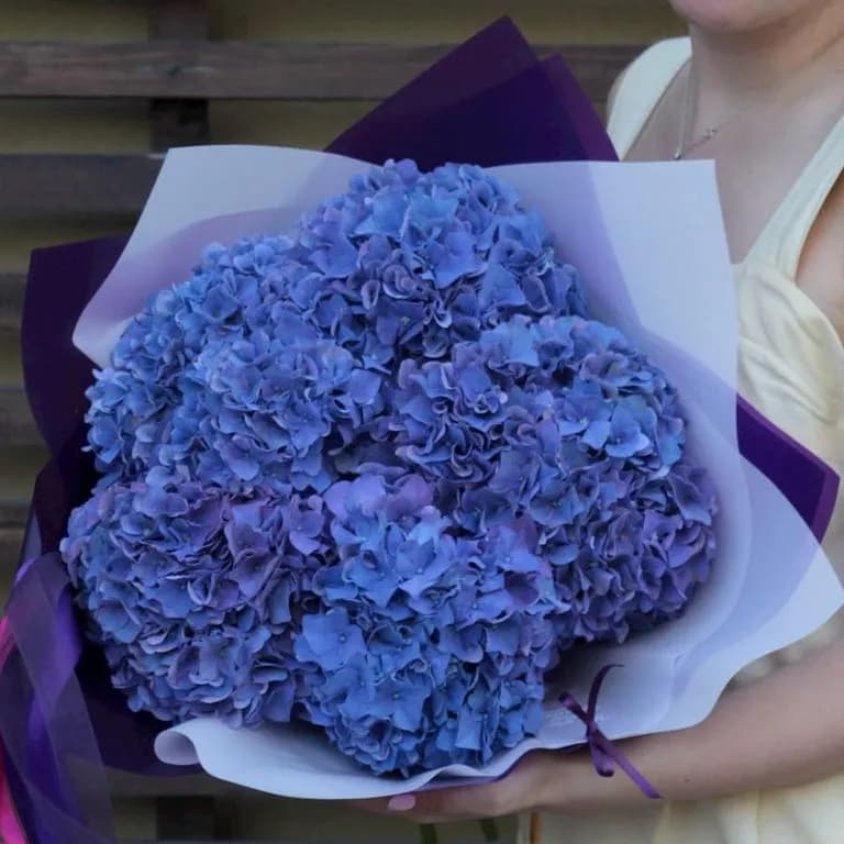 5 синих гортензий — купить в Ростове-на-Дону