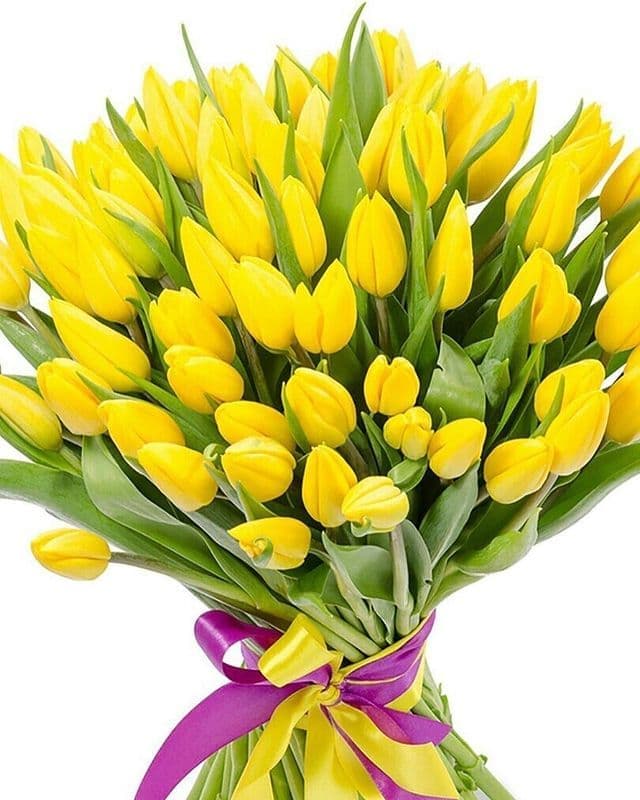 65 тюльпанов — купить в Ростове-на-Дону