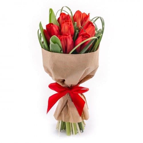 7 тюльпанов — купить в Ростове-на-Дону