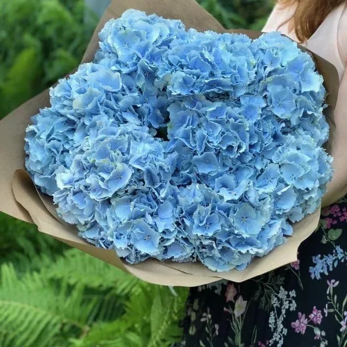 9 розовых гортензий — купить в Ростове-на-Дону — фото 3