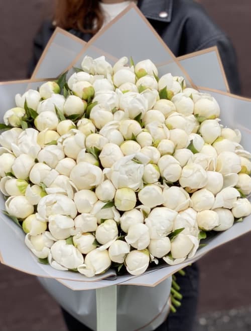 Букет из 101 белого пиона