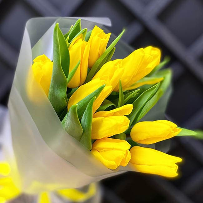 Букет из 11 желтых тюльпанов