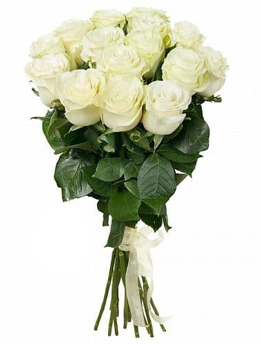 Букет из 15 белых голландских роз 100 см — купить в Ростове-на-Дону
