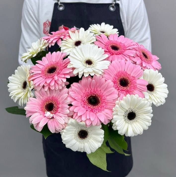 Букет из 15 гербер (цвет на выбор) — купить в Сочи