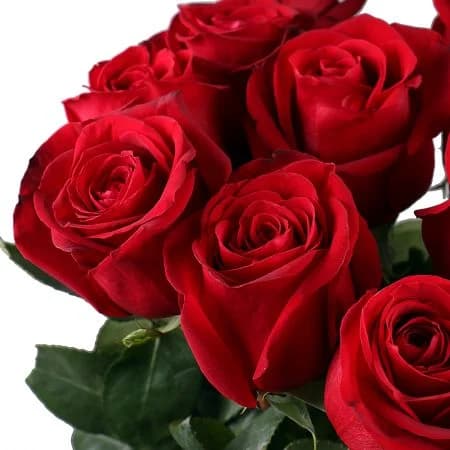 Букет из 15 голландских роз 100 см — купить в Ростове-на-Дону — фото 2