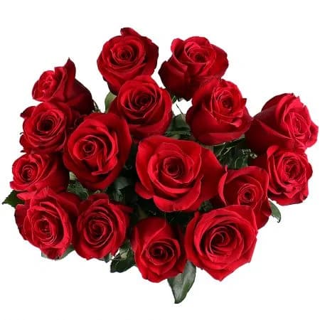Букет из 15 голландских роз 100 см — купить в Ростове-на-Дону — фото 3