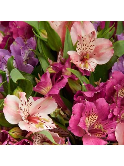 Букет из 15 лиловых альстромерий — фото 3 — купить в Сочи — фото 3