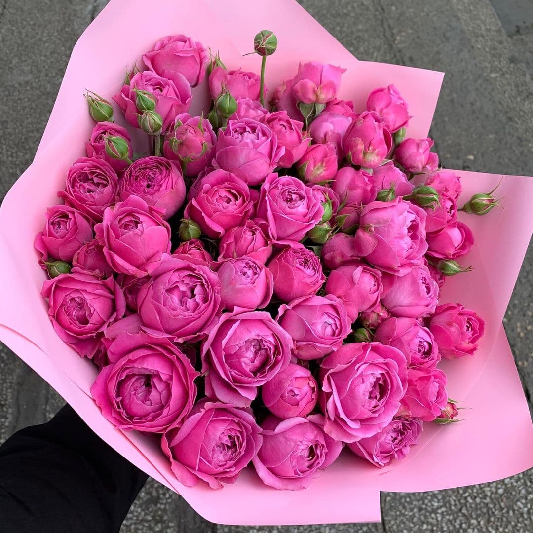 Букет из 15 веток  розы "Мисти Баблс" — купить в Краснодаре