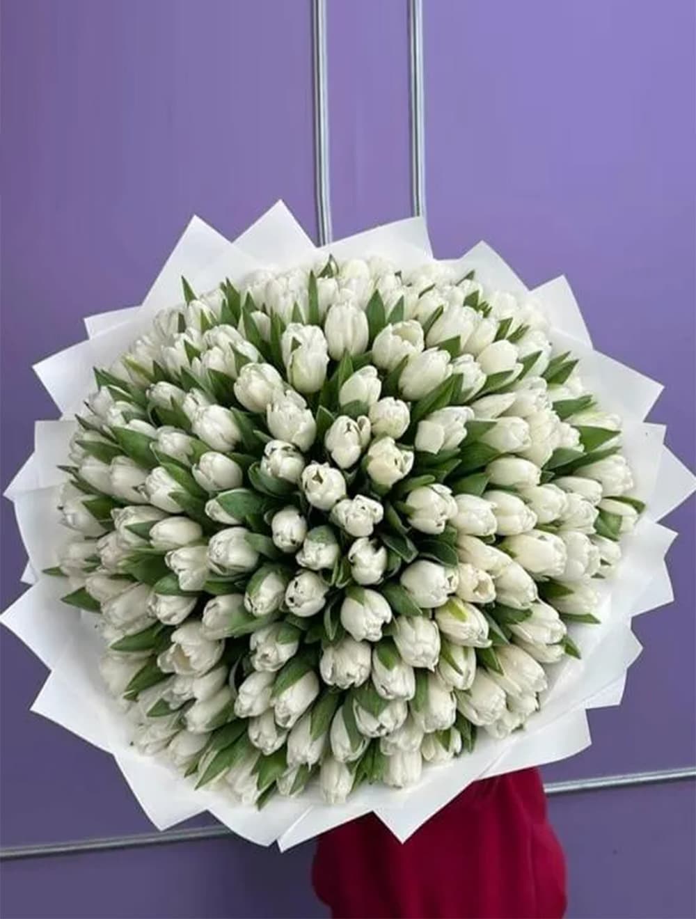 Букет из 151 белого тюльпана