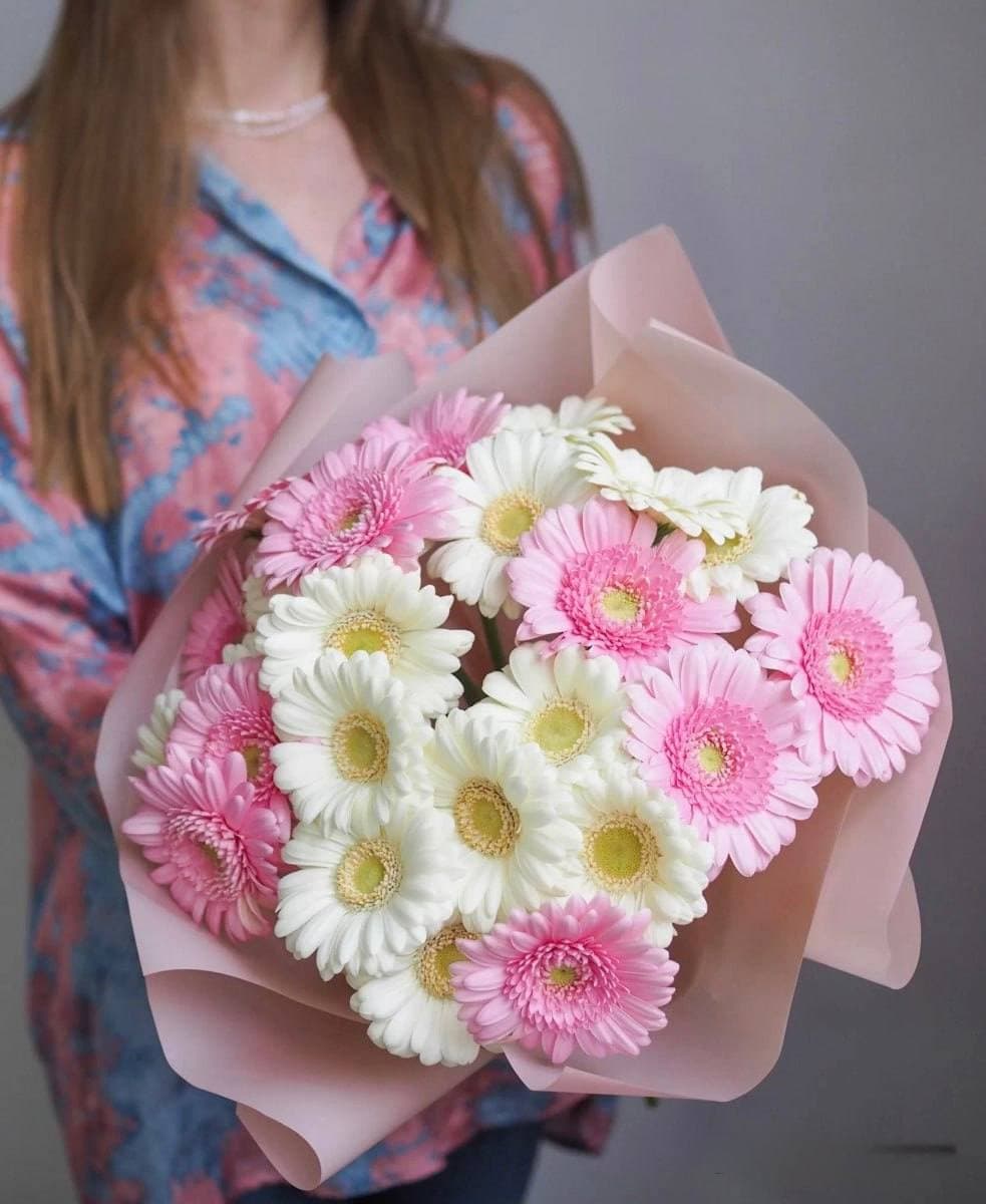 Букет из 25 гербер (цвет на выбор) — купить в Сочи