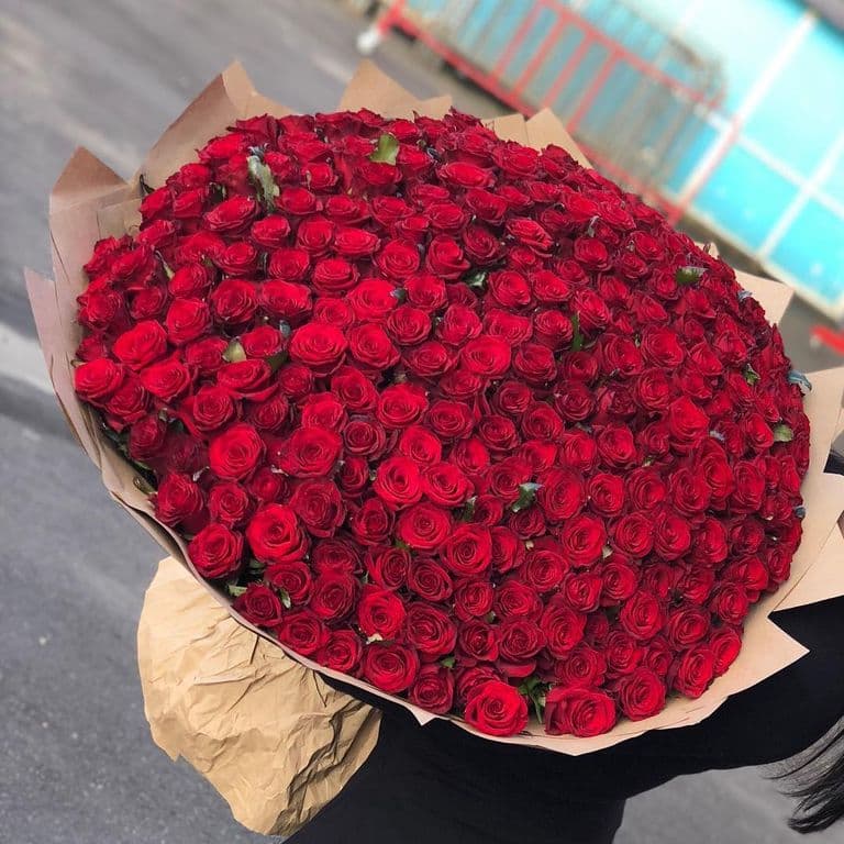 Букет из 303 красных роз 70см "Премиум" — купить в Ростове-на-Дону