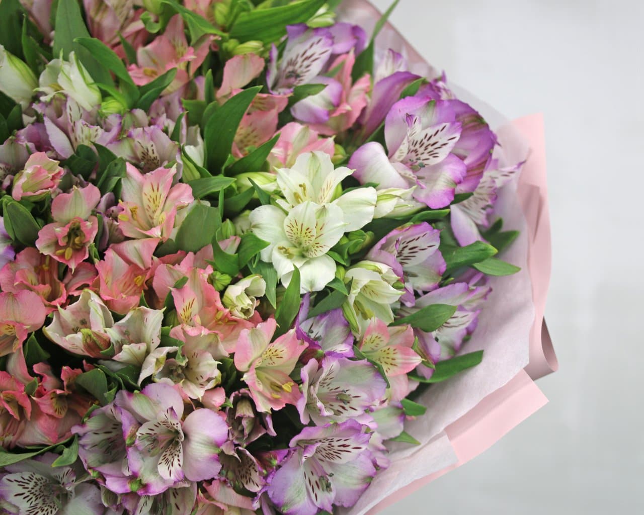 Букет из 31 альстромерии (цвет на выбор) — фото 3 — купить в Сочи — фото 3