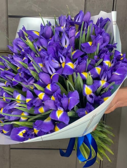 Букет из 51 ириса — купить в Сочи