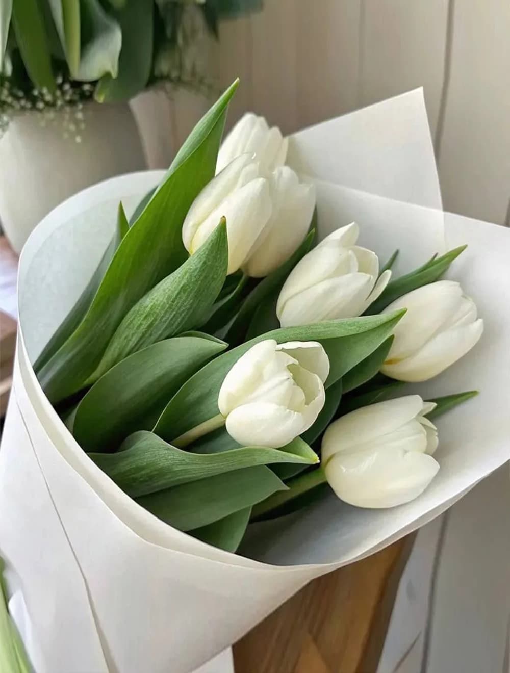 Букет из 7 белых тюльпанов