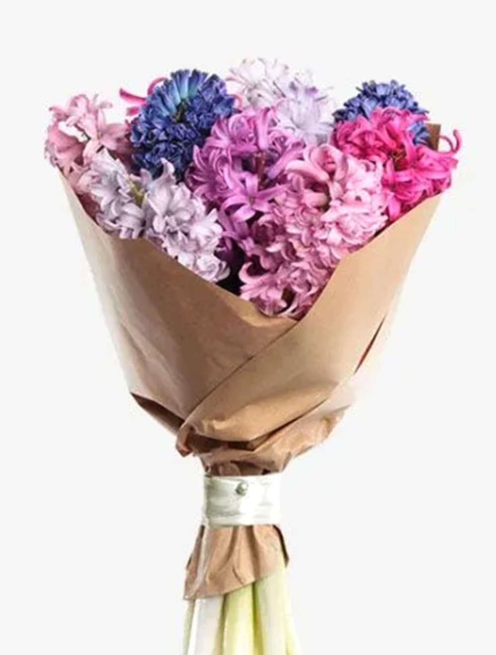 Букет из 9 гиацинтов — купить в Сочи