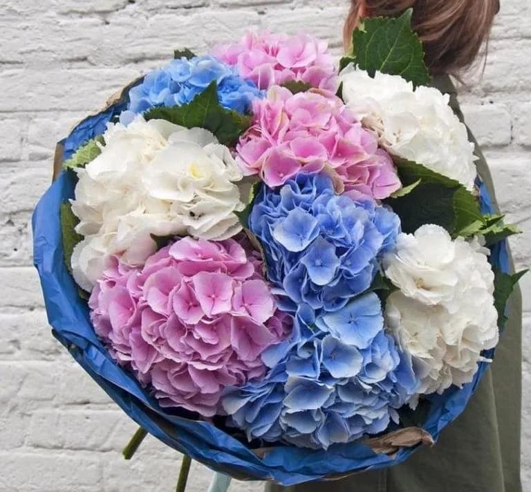 Букет из 9 гортензий — купить в Ростове-на-Дону